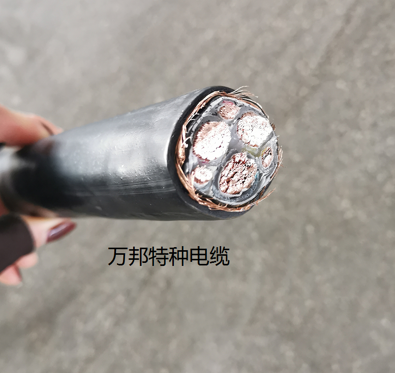 KYJF46-0.6/1KV 10*1.5