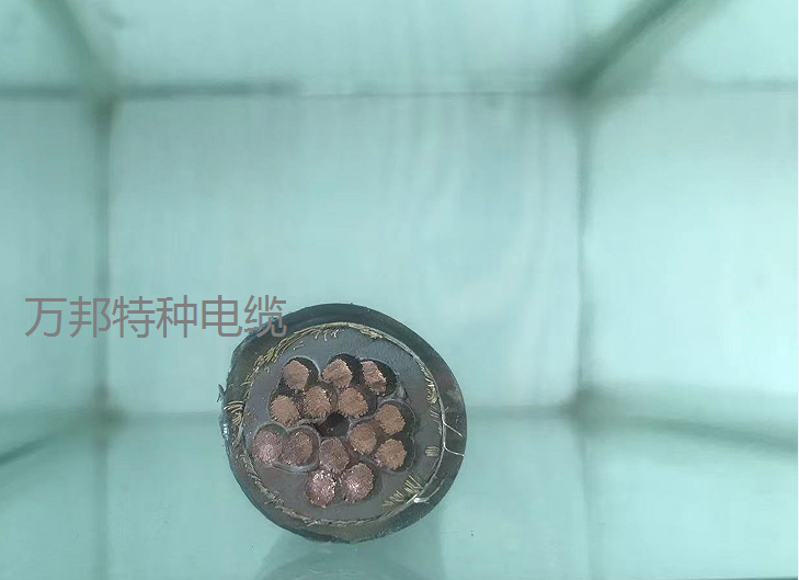 16753877832946.png 1647743485(1).png