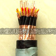 DJYP2V(R)P2計算機用屏蔽電纜(包括DCS電纜)