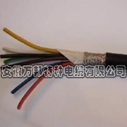 耐高溫計(jì)算機(jī)電纜-DJFPFP