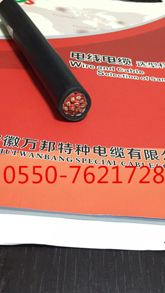 安徽萬(wàn)邦特種電纜有限公司